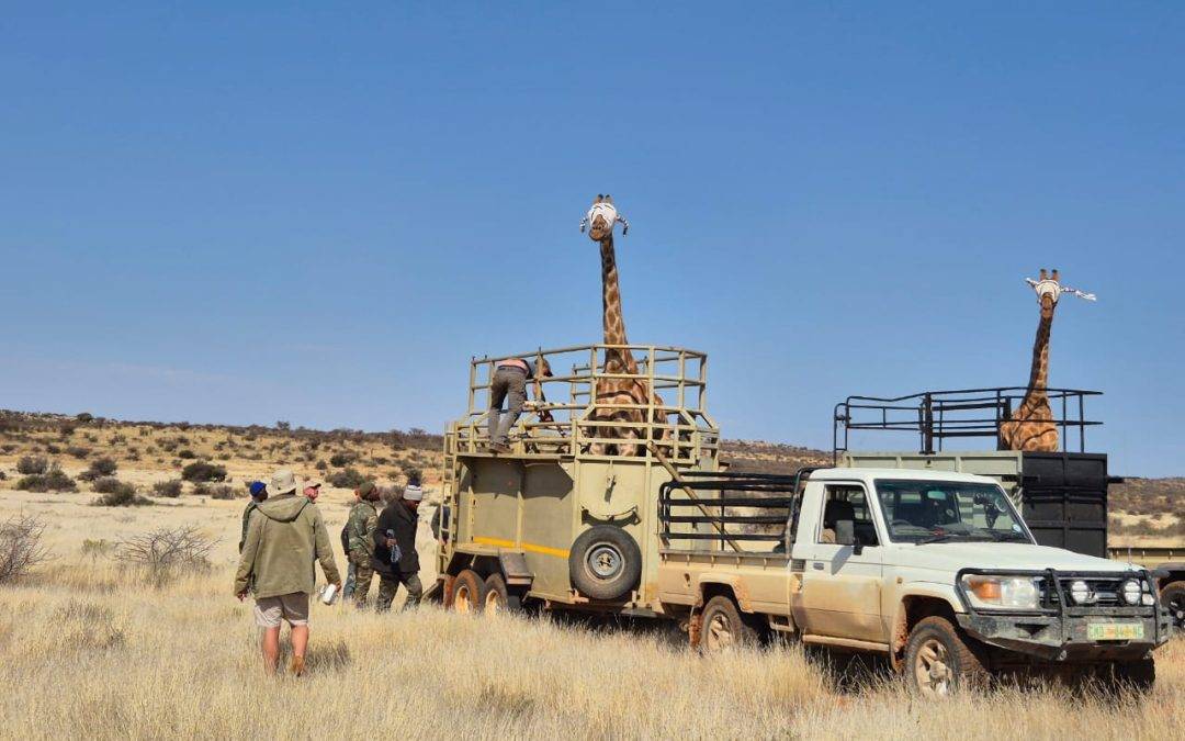 Discover Key Highlights from Kukama’s Season of Growth