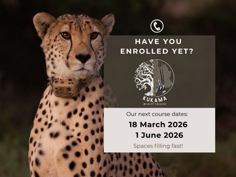 March-Jun 2026 Intake