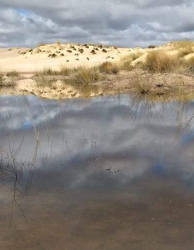 Sandy dunes