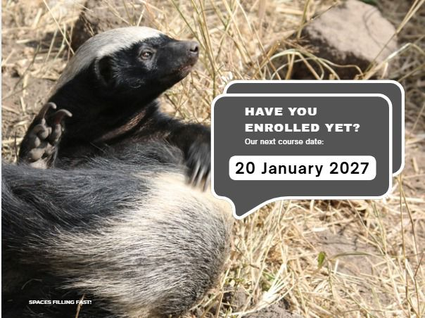Next course intake: 20 January 2027